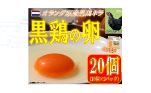 水野谷鶏卵店　黒鶏の卵　20個入り(Mサイズ)【1503066】 696077 - 福島県中島村