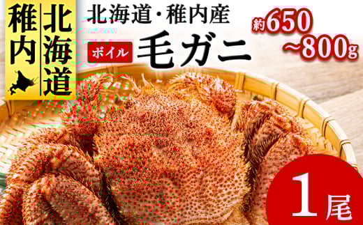 ＜2025製造＞ボイル毛ガニ1尾650g～800g