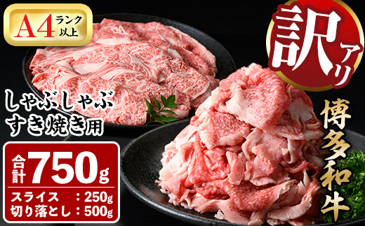 福岡県春日市のふるさと納税 ＜訳あり＞博多和牛しゃぶしゃぶすき焼き用(合計750g) 牛肉 黒毛和牛 国産 スライス 切り落とし バラ 焼き肉 BBQ 化粧箱 贈答 ギフト プレゼント＜離島配送不可＞【ksg0301】【MEATPLUS】