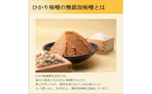 長野県飯島町のふるさと納税 マル無　国産　750g×8個【1603528】