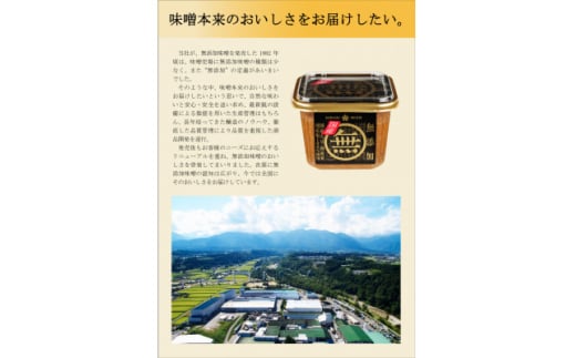 長野県飯島町のふるさと納税 マル無　国産　750g×8個【1603528】