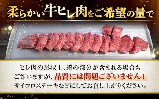 ヒレ ステーキ 長崎和牛 計600g（3～5枚） 牛肉 和牛