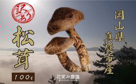 hana78.花笑み農園　岡山の訳あり『松茸』100g 2032155 - 岡山県真庭市