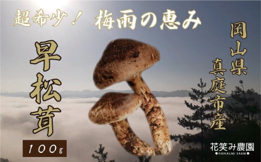 hana76.花笑み農園　超希少！早『松茸』100g～梅雨の恵み　（6～7月発送） 2032153 - 岡山県真庭市