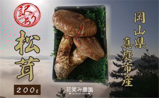 hana23-1.花笑み農園　岡山の訳あり『松茸』200g 815497 - 岡山県真庭市