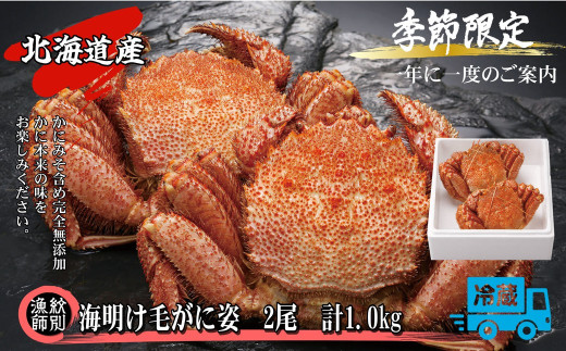 46-3 【北海道産】海明け毛がに姿 2尾計約1.0kg【期間限定5月19日まで受付予定】(冷蔵便)