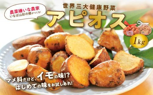 世界三大健康野菜 アピオス 1キロ 476461 - 鳥取県鳥取市