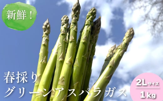 新鮮！春採り グリーンアスパラガス2Lサイズ1kg 東山農場　D066