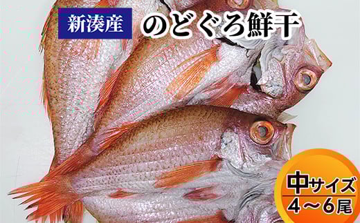 【新湊産】のどぐろ鮮干し（中サイズ4/6尾）