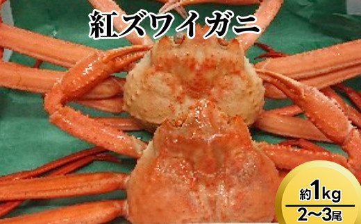 【おすすめ】紅ズワイガニ約1kg（2～3尾）【棚辺水産】※2025年9月中旬～2026年3月下旬頃に順次発送予定　※離島への配送不可 2126239 - 富山県射水市