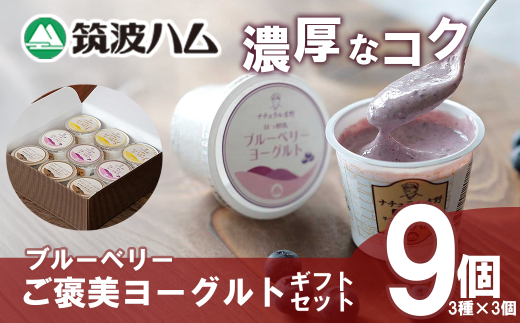 【筑波ハム】ブルーベリー ご褒美ヨーグルトギフトセット【 筑波ハム ヨーグルト クリームチーズ チーズ ブルーベリー ご褒美 乳 腸活 美容 健康 ギフト 贈答 茨城県産 国産 つくば市 】 2101550 - 茨城県つくば市