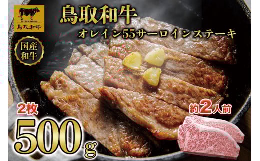 鳥取和牛オレイン55　サーロインステーキ　2枚（500g）1288 1470767 - 鳥取県三朝町