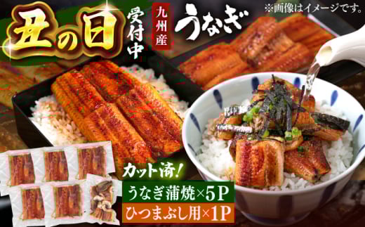 鹿児島産 うなぎ 蒲焼 カット 約80g×5P と ひつまぶし 贅沢セット 【土用丑の日 受付中！】▼ 国産 ウナギ 鰻 うなぎ 九州産 たれ うなぎ 鰻 蒲焼 肉厚 ウナギ 冷凍 惣菜 ひつまぶし ウナギ 蒲焼き うなぎ  鹿児島うなぎ 人気 おいしい かばやき おすすめ ランキング 特別 贅沢 ギフト 贈答 夏 九州 福岡 桂川町/山水商事 [ADAH025] 2001511 - 福岡県桂川町