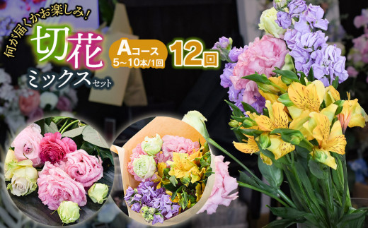 何が届くかお楽しみ★【12ヶ月定期便】鶴岡産切花ミックスセットAコース12回 花蔵(HANAZO) K-733 2058659 - 山形県鶴岡市