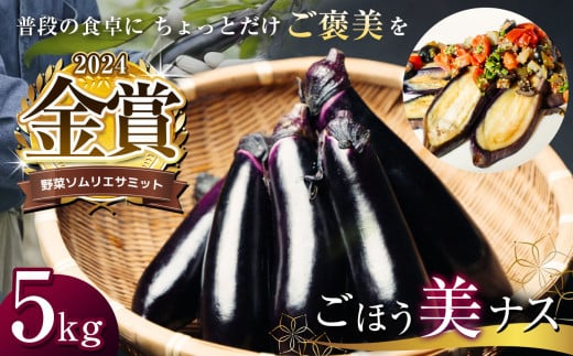 野菜ソムリエサミット金賞「ごほう美ナス」 約5kg | 野菜 やさい 茄子 なす 野菜ソムリエ サミット 金賞 ごぼう美ナス きんしょう ご褒美 とろとろ 栃木県 真岡市 送料無料 850270 - 栃木県真岡市