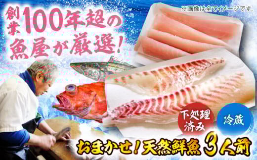 【下処理済み・冷蔵】 おまかせ！天然鮮魚3人前 愛媛県大洲市/天然活魚　濱　屋［AGBP008］魚介 冷蔵 天然鮮魚 刺身 煮魚用 下処理済み 魚介