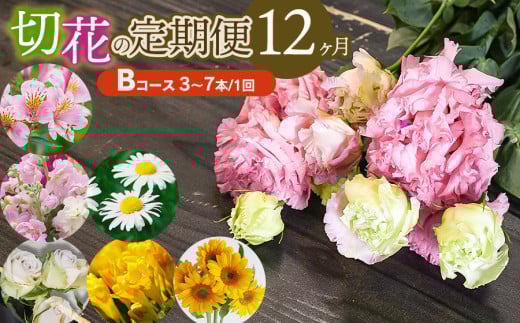 鶴岡産切花の定期便12ヶ月Bコース 花蔵(HANAZO) K-733 2058660 - 山形県鶴岡市