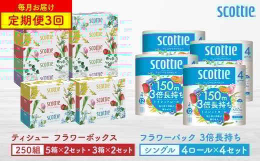【定期便3回】【毎月1回お届け】【スコッティ】ティシュー フラワーボックス 250組（5箱パック×2セット・3箱パック×2セット）＋フラワーパック 3倍長持ち（4ロール(シングル)パック×4セット）ティッシュ トイレットペーパー 日用品
