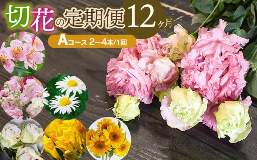 鶴岡産切花の定期便12ヶ月Aコース 花蔵(HANAZO) K-722 2058661 - 山形県鶴岡市