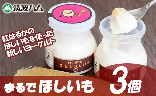 【筑波ハム】まるでほしいも×3個セット1箱【 茨城県 つくば市 ヨーグルト 干し芋 ほしいも ほし芋 紅はるか さつまいも いも 健康 】