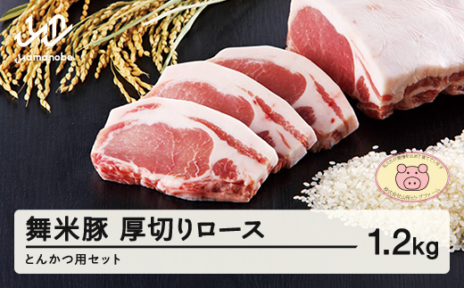 山形県産 ブランド豚 厚切りロースとんかつ用セット 1.2kg F20A-196 518697 - 山形県山辺町