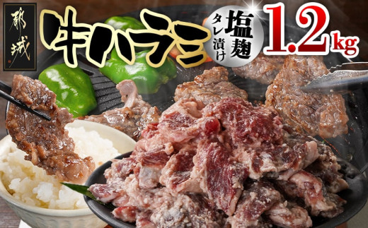 牛ハラミ 塩麹タレ漬け1.2kg_12-3310_(都城市)  味付き牛ハラミ 300g×4パック 真空 小分け 1200g