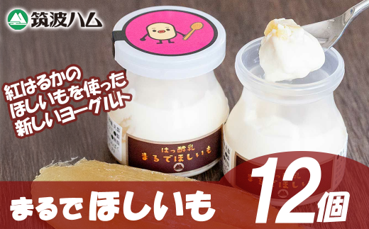 【筑波ハム】まるでほしいも×3個セット4箱【 茨城県 つくば市 ヨーグルト 干し芋 ほしいも ほし芋 紅はるか さつまいも いも 健康 】