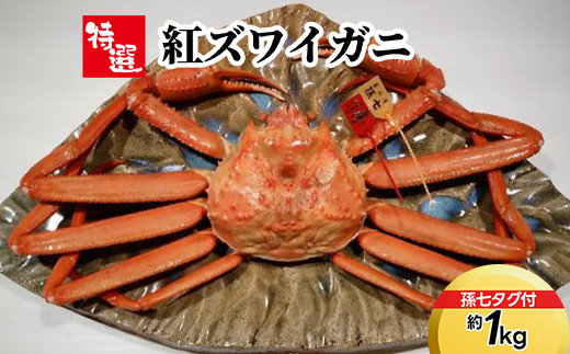 【特選】紅ズワイガニ約1kg（孫七タグ付） ※2025年9月中旬～2026年3月下旬頃に順次発送予定 2126171 - 富山県射水市