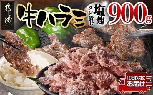 牛ハラミ 塩麹タレ漬け900g≪みやこんじょ特急便≫_LG8-3309-Q_(都城市) 外国産 味付き牛ハラミ 300gパック 真空 小分け 900g