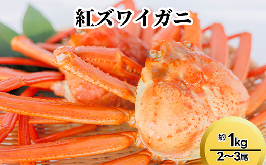 紅ズワイガニ約1kg（2～3尾） ※2025年9月中旬～2026年3月下旬頃に順次発送予定 2126165 - 富山県射水市