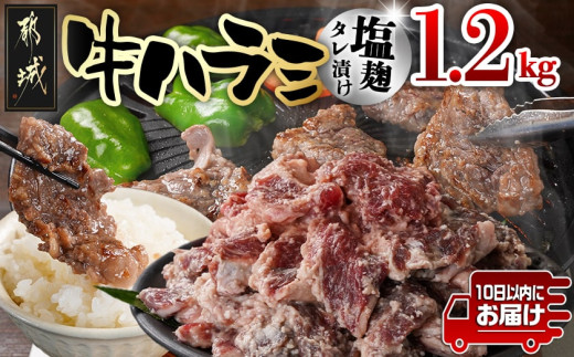 牛ハラミ 塩麹タレ漬け1.2kg≪みやこんじょ特急便≫_12-3310-Q_(都城市) 味付き牛ハラミ 300g×4パック 真空 小分け 1200g