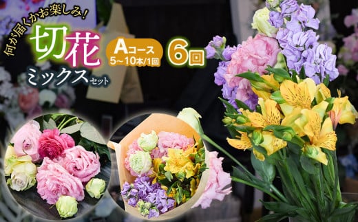 何が届くかお楽しみ★【6ヶ月定期便】鶴岡産切花ミックスセットAコース6回 花蔵(HANAZO) K-733 2058658 - 山形県鶴岡市