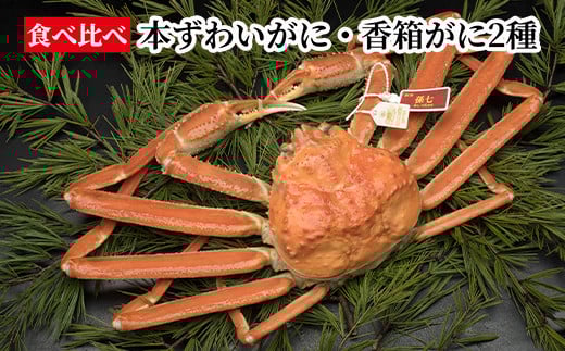 【食べ比べ】本ずわいがに・香箱がに2種 ※2025年11月中旬～2026年1月上旬頃に順次発送予定 2126334 - 富山県射水市