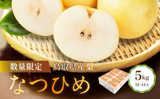 【先行予約】数量限定 鳥取県産梨 なつひめ 5kg(12~14玉) 983892 - 鳥取県琴浦町