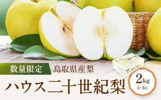 【先行予約】数量限定 鳥取県産梨 ハウス二十世紀梨 2kg（5～6玉） 972326 - 鳥取県琴浦町