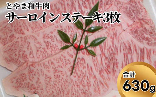 とやま和牛肉 サーロイン ステーキ 合計630g 3枚 牛肉 和牛 肉 お肉 牛