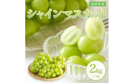 ［鳥取県産シャインマスカット］万葉のしずく ２kg（さんチョク） 1261115 - 鳥取県鳥取市