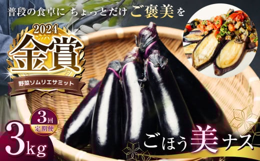 【ふるさと納税】【定期便3回】野菜ソムリエサミット金賞「ごほう美ナス」 約3kg | 茄子 なす 金賞 きんしょう ごぼう美ナス 約 3kg 野菜ソムリエサミット 野菜ソムリエ オリジナル ブランド  ご褒美 定期便 とろとろ 栃木県 真岡市 1004245 - 栃木県真岡市