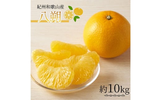紀州和歌山産 八朔 (はっさく) 約10kg 魚鶴商店【2026年出荷分】《2026年3月上旬-3月中旬より発送予定(土日祝除く)》はっさく 和歌山県 日高町 贈り物 ギフト 八朔 柑橘