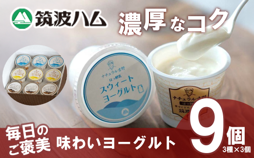 【筑波ハム】毎日のご褒美 味わいヨーグルトギフトセット【 筑波ハム ヨーグルト クリームチーズ チーズ ご褒美 乳 腸活 美容 健康 ギフト 贈答 茨城県産 国産 つくば市 】 2101551 - 茨城県つくば市