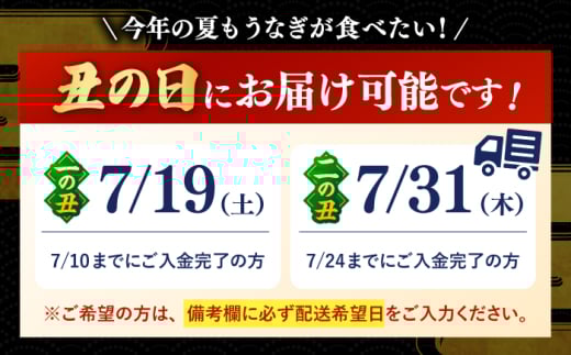 鹿児島産 国産 おすすめ 人気 美味しい うなぎ かばやき 大 蒲焼