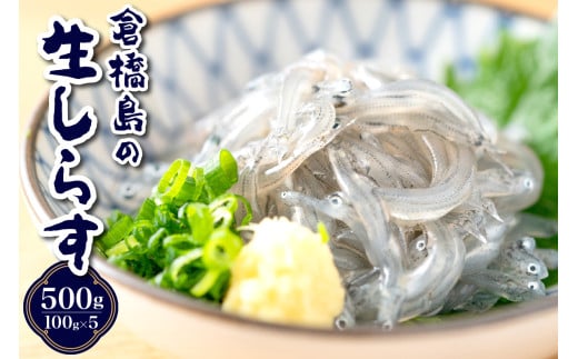 【先行受付】生シラス500g (100g×5個) 2115959 - 広島県呉市