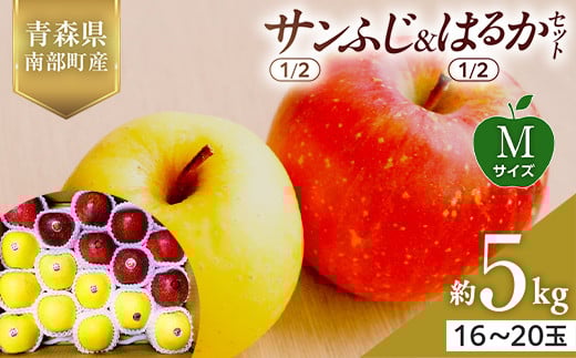 青森県産 サンふじ(1/2)・はるか(1/2)セット Mサイズ 5kg (各2.5kg) 【佐々木あきおはるこ農園】 青森りんご リンゴ 林檎 アップル あおもり 青森県 南部町 三戸 果物 くだもの フルーツ F21U-569
