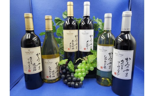 サントネージュかみのやま産葡萄のワイン満足セット 0141-2415 934510 - 山形県上山市