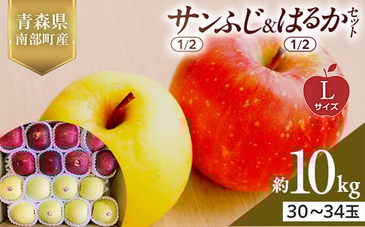青森県産 サンふじ(1/2)・はるか(1/2)セット Lサイズ 10kg (各5kg) 【佐々木あきおはるこ農園】 青森りんご リンゴ 林檎 アップル あおもり 青森県 南部町 三戸 果物 くだもの フルーツ F21U-571