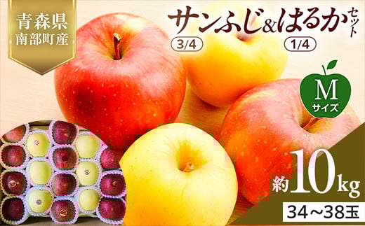 青森県産 サンふじ(3/4)・はるか(1/4)セット Mサイズ 10kg 【佐々木あきおはるこ農園】 青森りんご リンゴ 林檎 アップル あおもり 青森県 南部町 三戸 果物 くだもの フルーツ F21U-578 2114028 - 青森県南部町