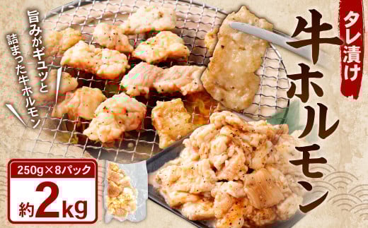 タレ漬け 牛ホルモン 2.0kg （250g×8パック） 牛肉 牛 お肉 肉 たれ タレ ホルモン 焼き肉 焼肉 小分け 冷凍