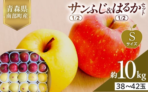 青森県産 サンふじ(1/2)・はるか(1/2)セット Sサイズ 10kg (各5kg) 【佐々木あきおはるこ農園】 青森りんご リンゴ 林檎 アップル あおもり 青森県 南部町 三戸 果物 くだもの フルーツ F21U-573