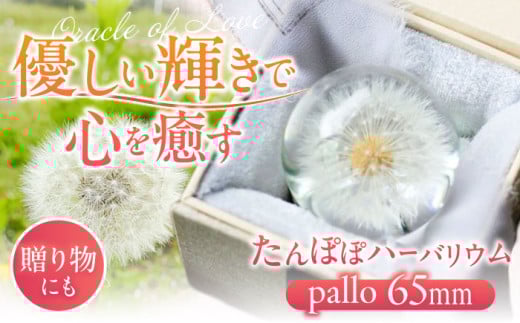 【pallo 65mm】たんぽぽハーバリウム / インテリア 雑貨 フラワー ナチュラル / 亀山市 / auRinko [AMBL001] 1136776 - 三重県亀山市