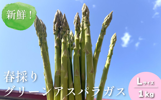 [先行予約]新鮮!春採り グリーンアスパラガスLサイズ1kg 東山農場